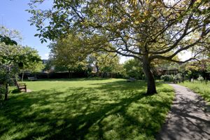 The Orchard- click for photo gallery